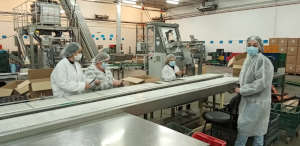 Seguimiento de formación práctica del curso Elaboración de productos a raíz del aceite de oliva Ed. 3 en Alcaudete