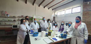 Seguimiento de formación específica del curso Elaboración de productos a raíz del aceite de oliva Ed. 6 en Mengíbar